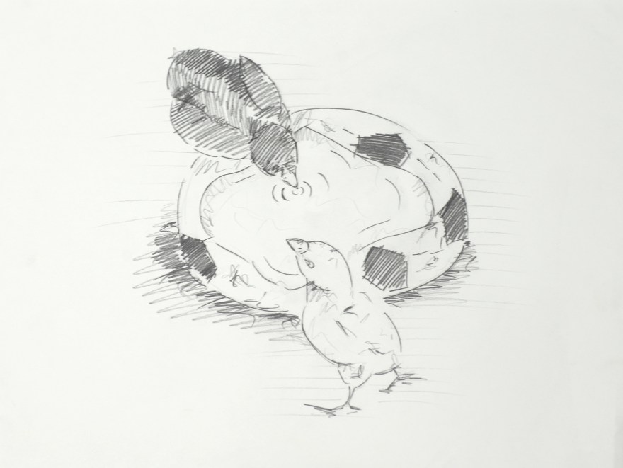 Bebedero para pollos de Rodrigo González Castellanos