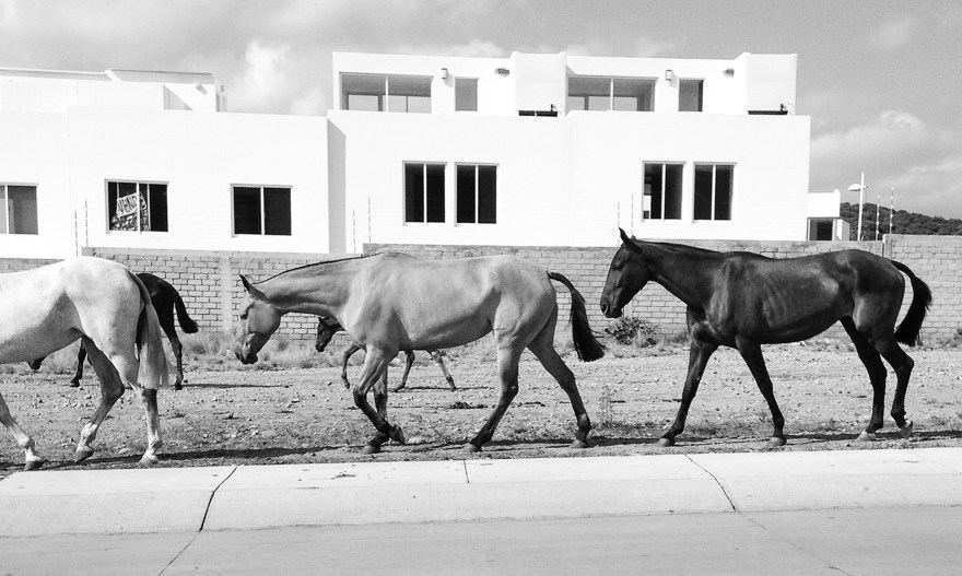 Exodo rural de Rodrigo González Castellanos