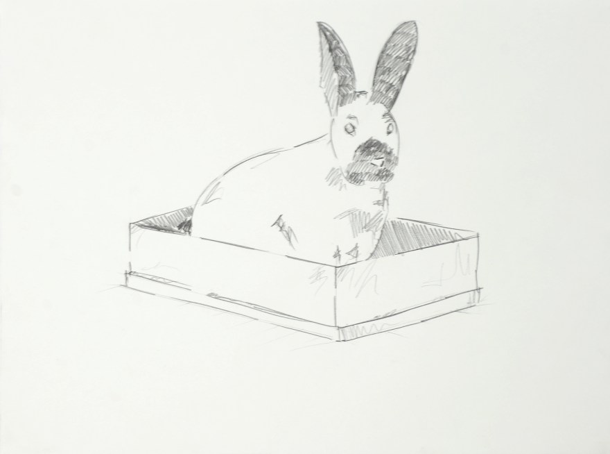 Conejera de Rodrigo González Castellanos