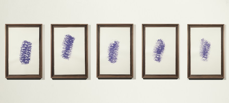 Lana (manchas violetas) de Rodrigo González Castellanos