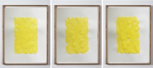 Amarillo I-II-III de Rodrigo González Castellanos