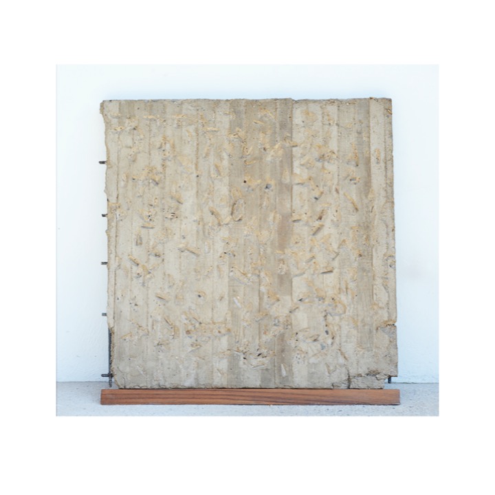 Concreto de Rodrigo González Castellanos