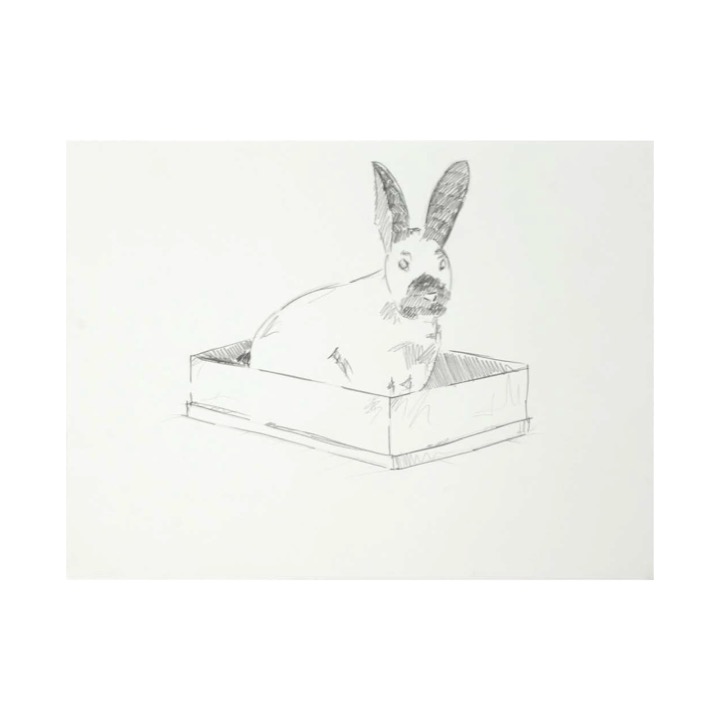 Conejera de Rodrigo González Castellanos