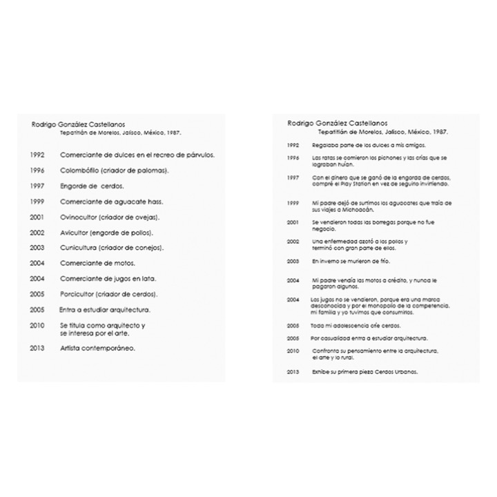 Currículum de Rodrigo González Castellanos