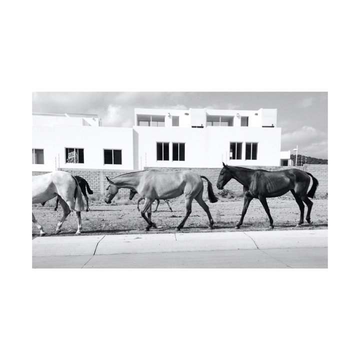 Éxodo rural