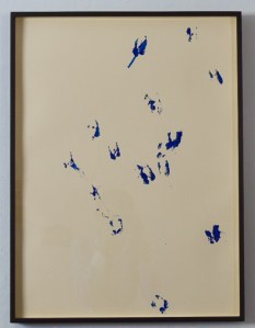 Pisadas de borrego I de Rodrigo González Castellanos