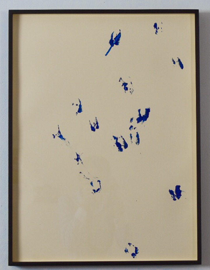 Pisadas de borrego I de Rodrigo González Castellanos