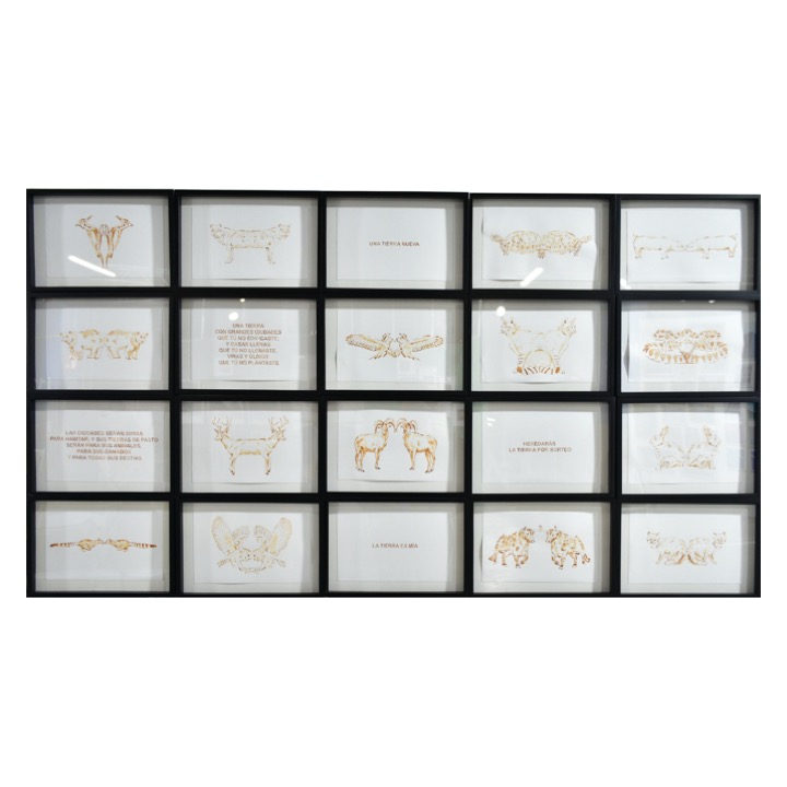 Animales salvajes mexicanos y frases sobre la tierra de Rodrigo González Castellanos