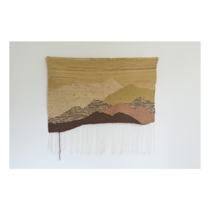 Montañas sin terminar, Beige de Rodrigo González Castellanos