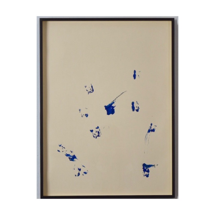 Cuadrado pisadas de borrego II