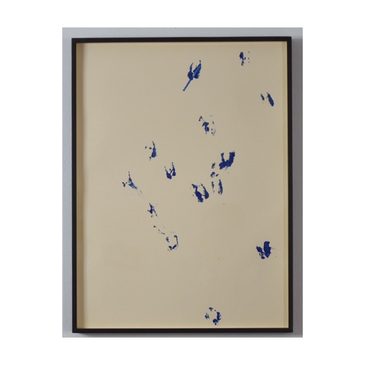 Pisadas de borrego III