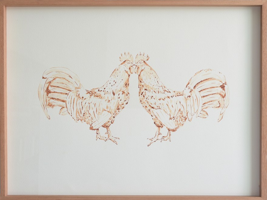 Gallos Galos de Rodrigo González Castellanos