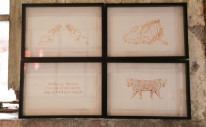 Tierra Roja en Salón ACME, imágenes por Alum Galvez