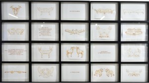 Animales salvajes mexicanos y frases sobre la tierra de Rodrigo González Castellanos