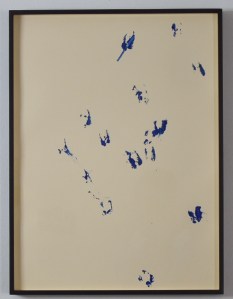 Pisadas de borrego III de Rodrigo González Castellanos