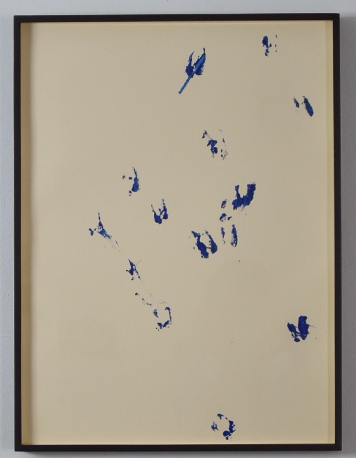 Pisadas de borrego III de Rodrigo González Castellanos