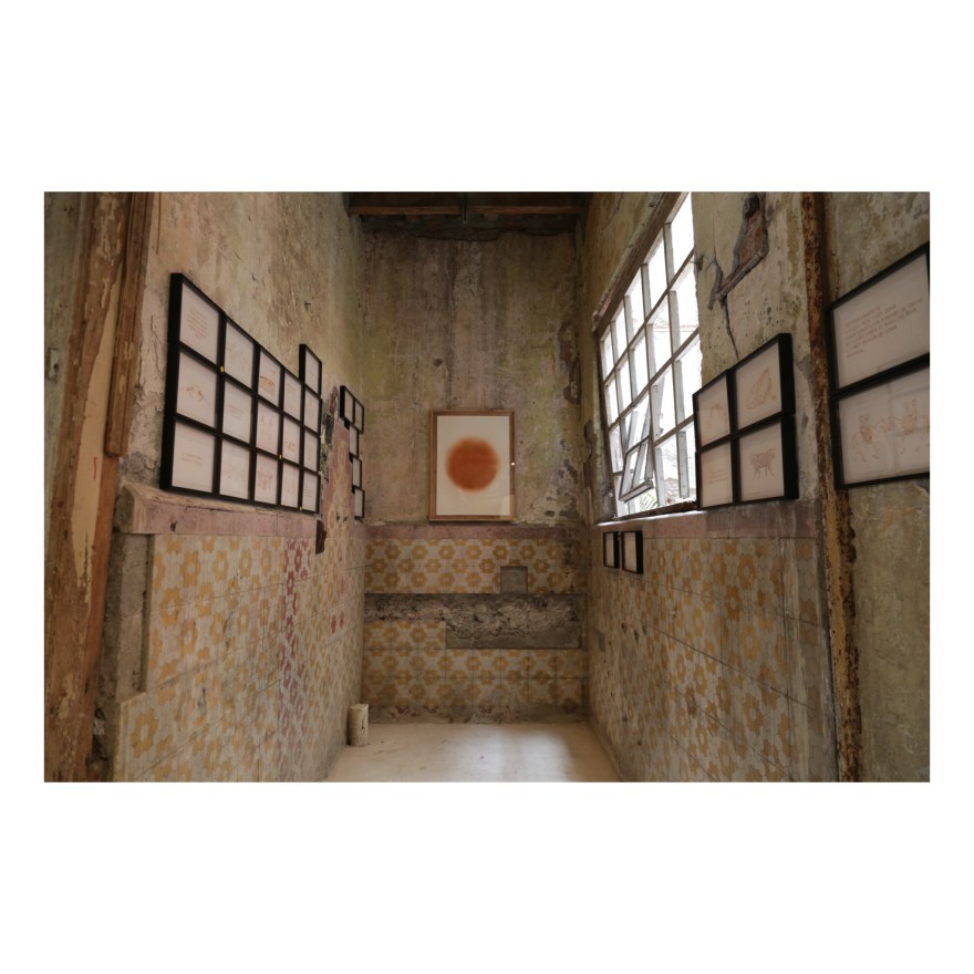 Tierra Roja en Salón ACME